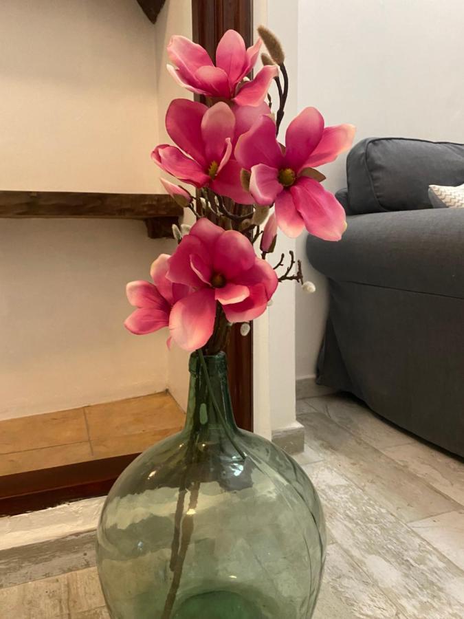 Apartamento La Pepa - Santa Cruz De La Palma Santa Cruz de la Palma  Zewnętrze zdjęcie